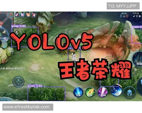 奋战赛场V5战队的荣耀与坚持之路纪实探索